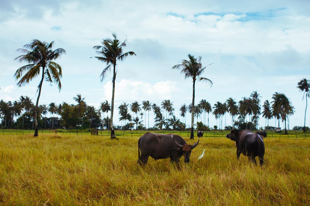 Yataa Spa And Resort Ko Sukon Eksteriør bilde